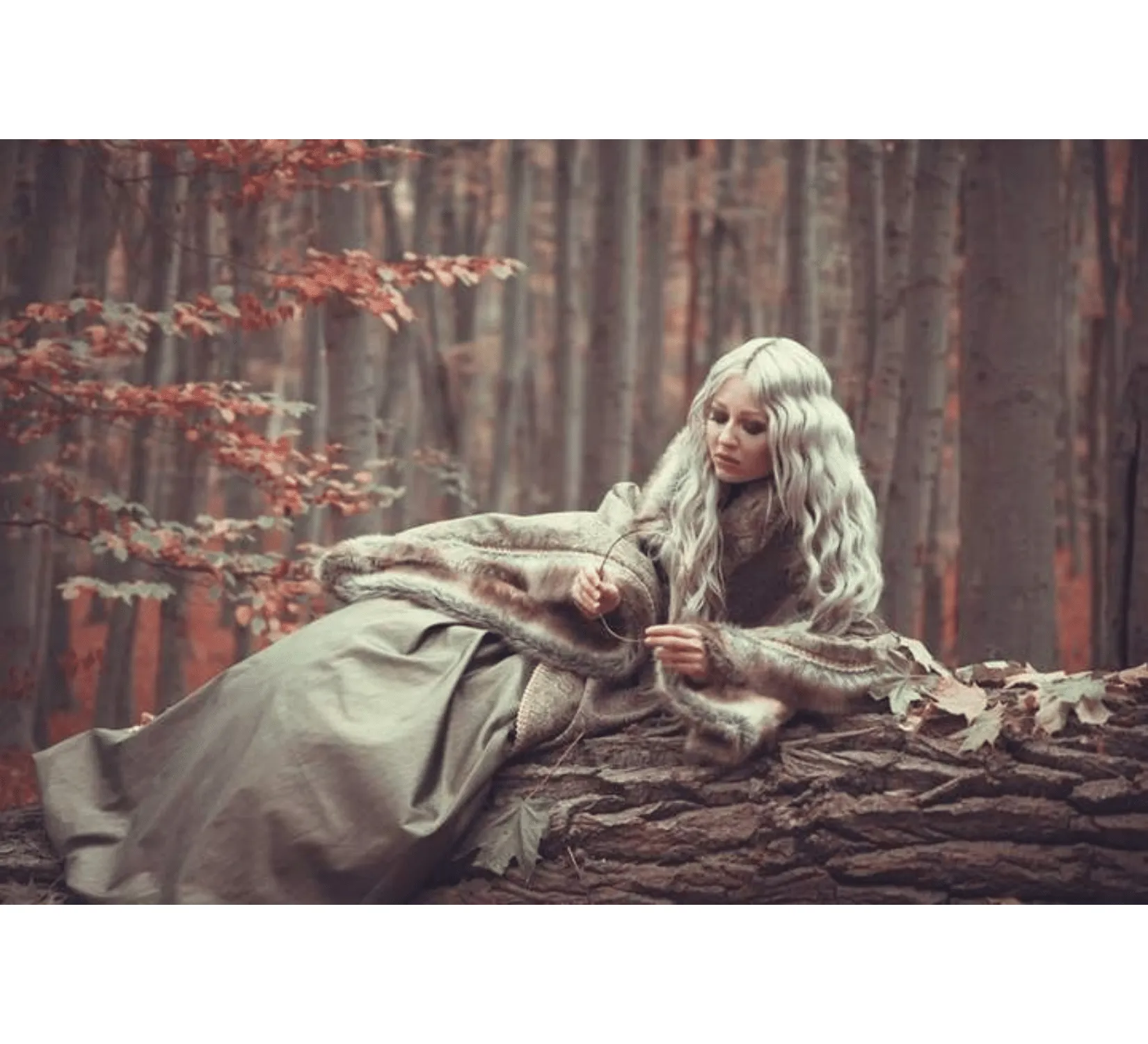 Medieval Fantasy Stark House jacquard dress